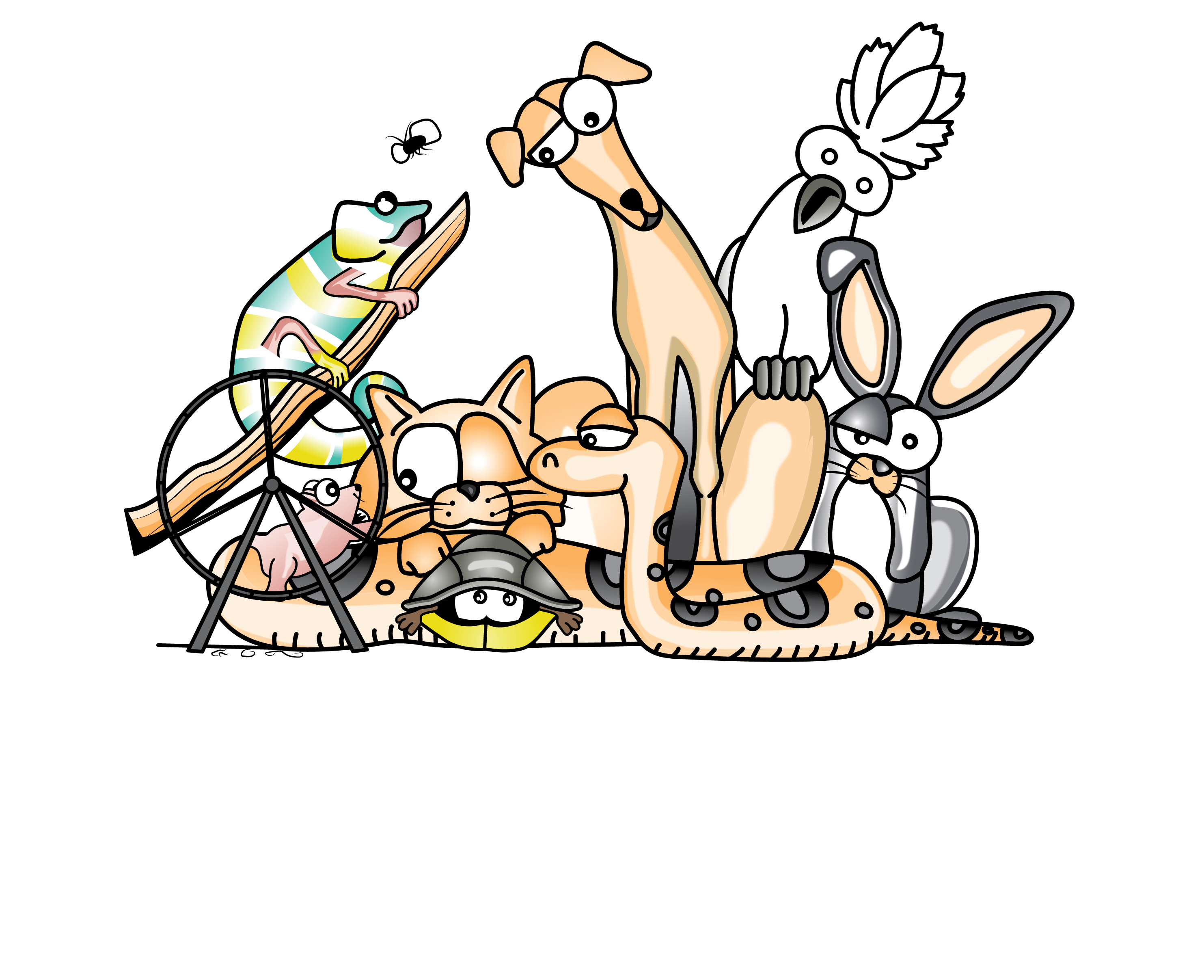 Cocoa Veterinary