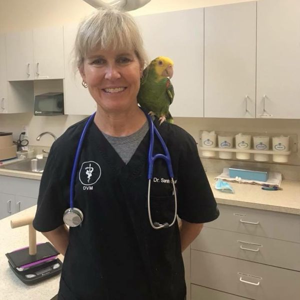 Dr. Guttery with a parrot on her shoulder