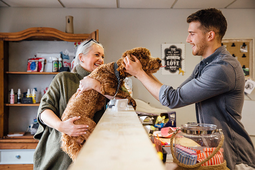 A man and woman gently pet a dog while visiting a pet store