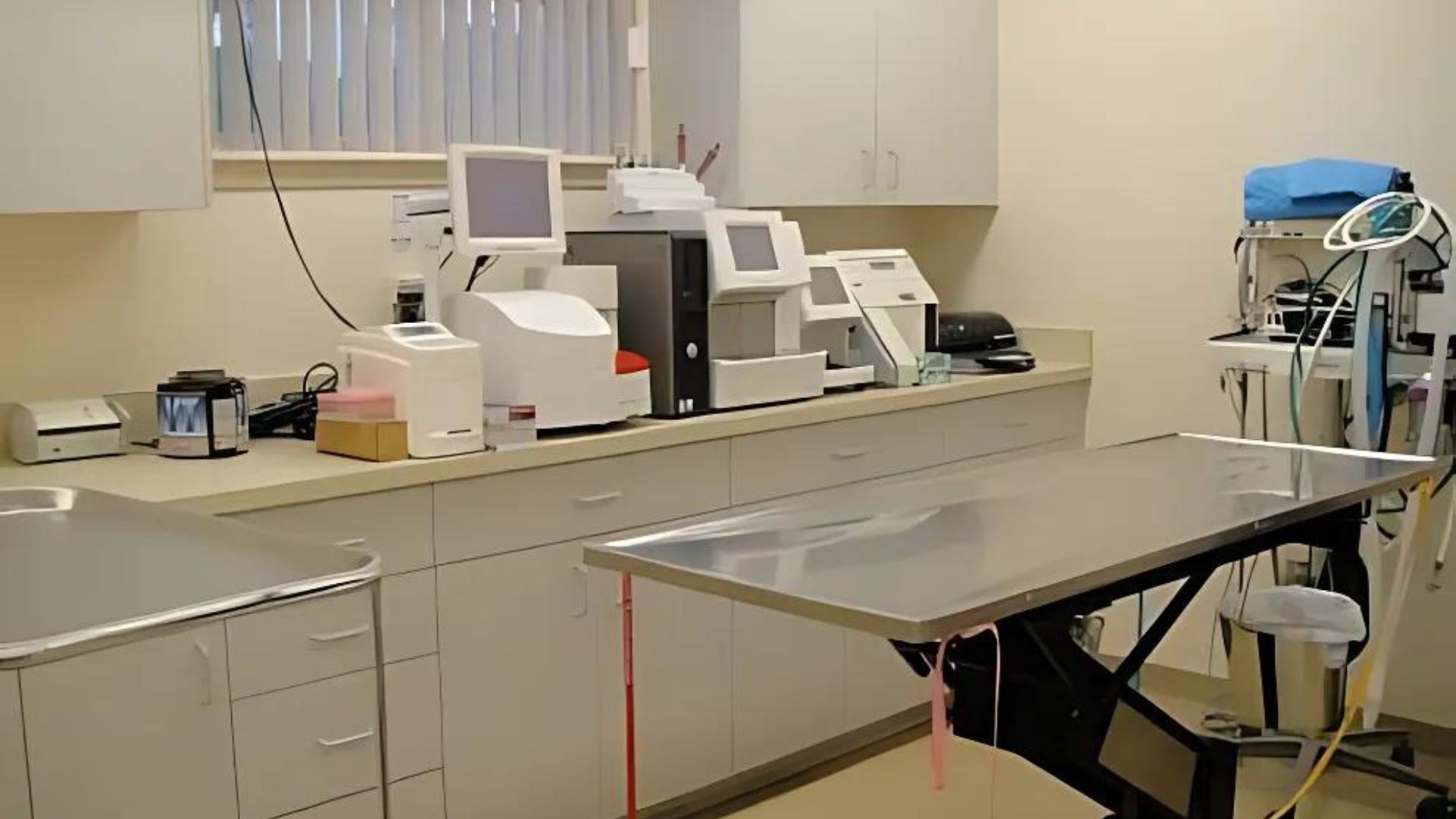 A veterinary office featuring a desk and various medical equipment