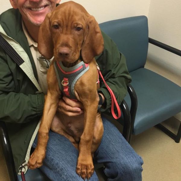 A man seated in a chair, gently holding a dog in his lap