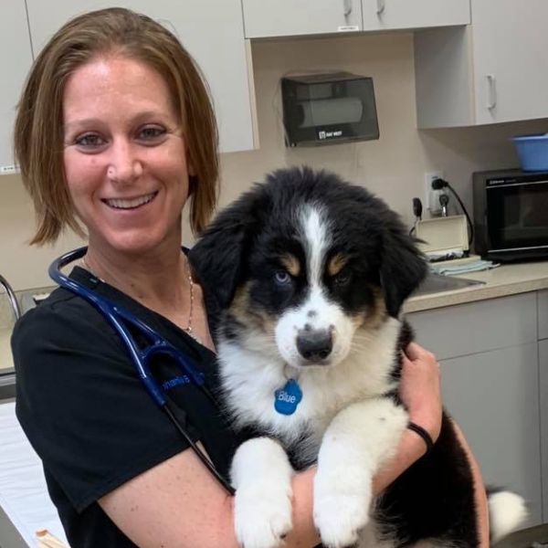 a woman holds a black and white puppy