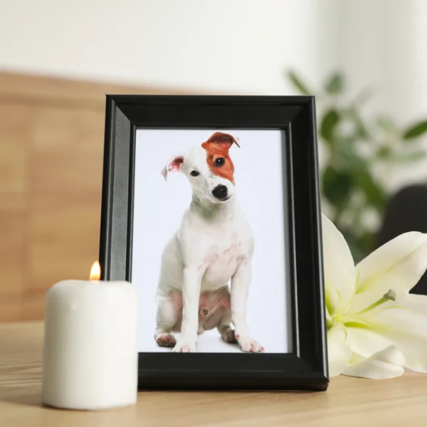 A framed photo of a dog next to a lit candle and a white flower, symbolizing a pet memorial.